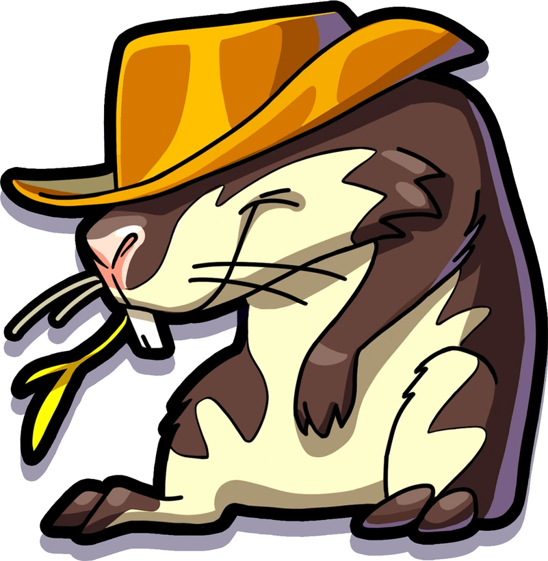 Wild guinea pig in a straw hat
